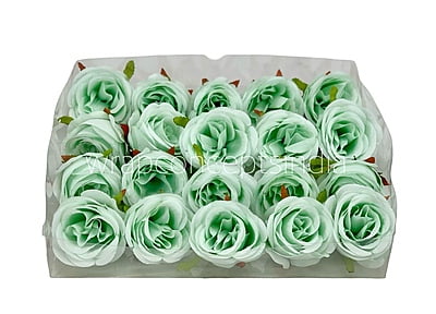 Mint Green Roses Mint Green Roses