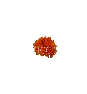 Small Carnation -Orange