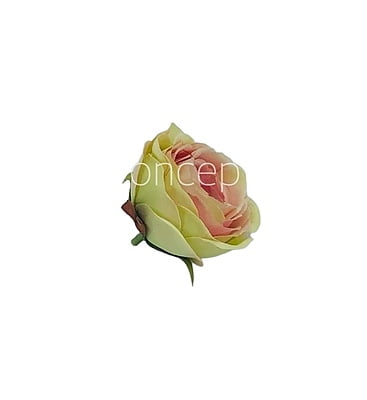 Camellia Flower - Lime Green With Hints Of Pink