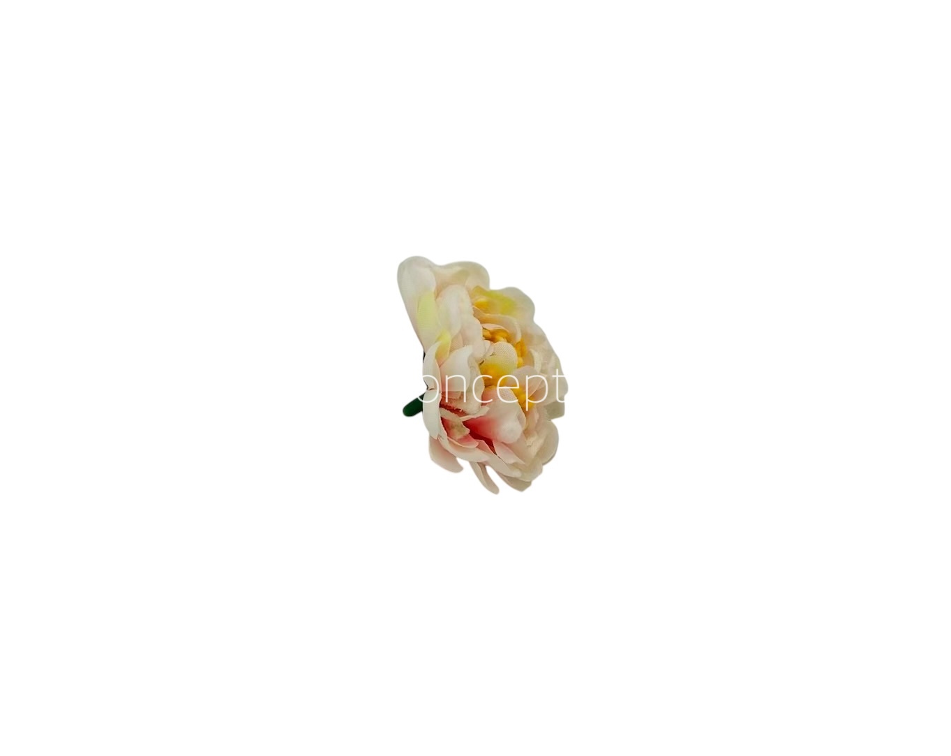 Cream with Pink Small Dahlias