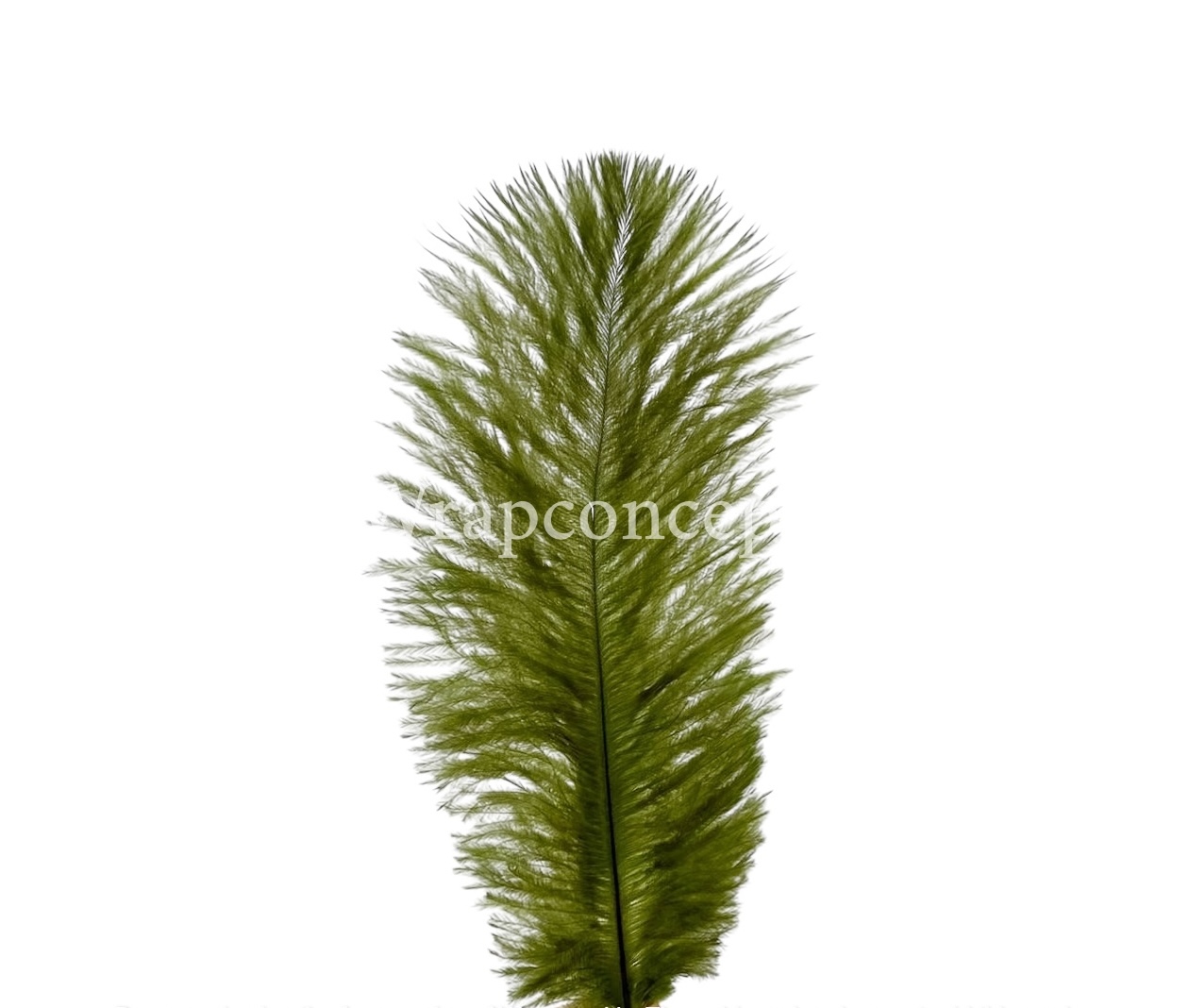 Faux Feather Rounded Edges Faux Feather Rounded Edges