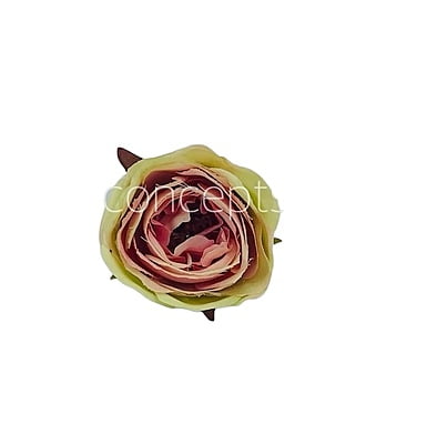 Camellia Flower - Lime Green With Hints Of Pink