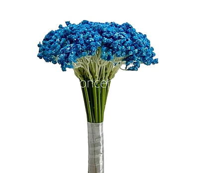 Baby Breath's Bunch