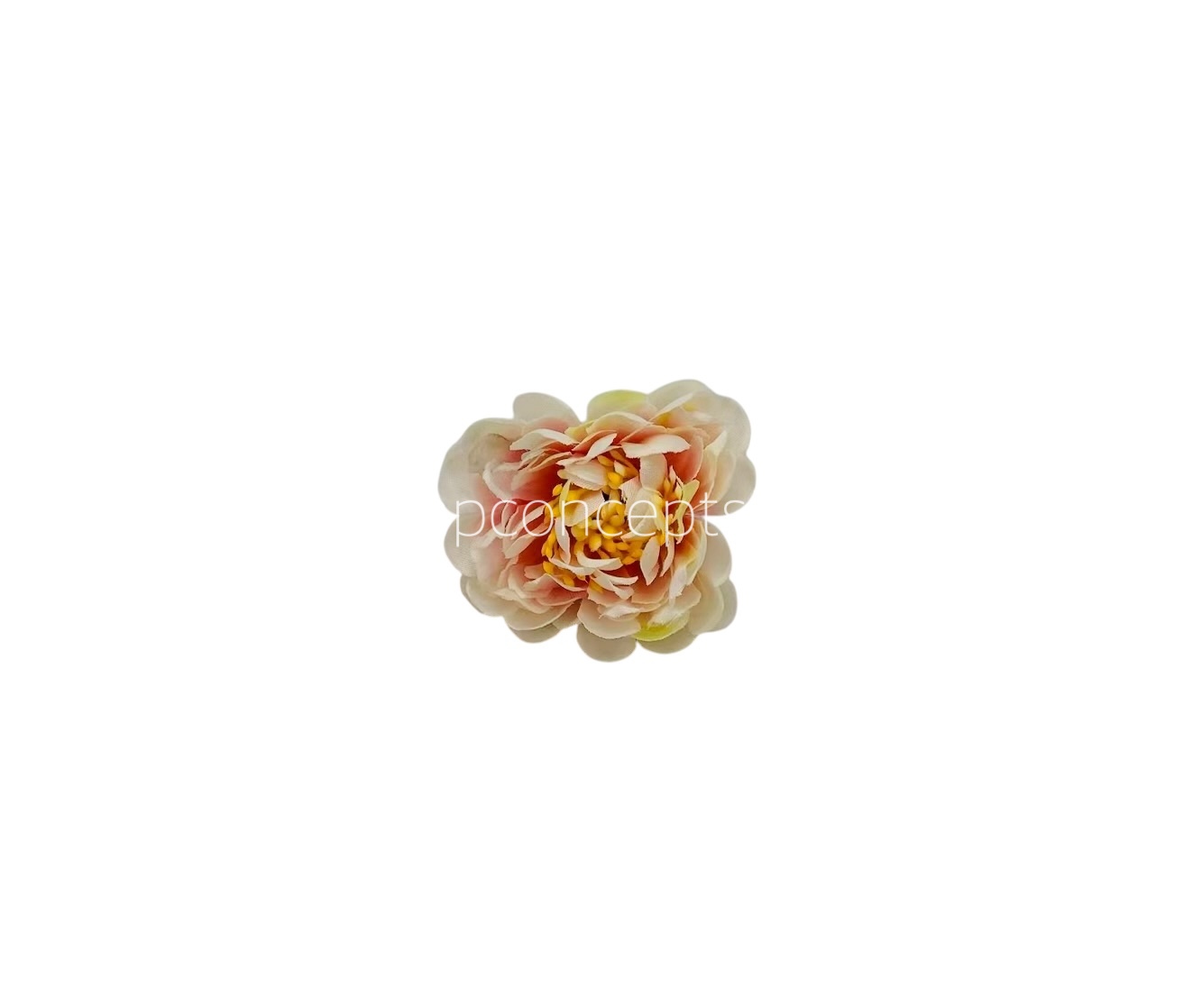 Cream with Pink Small Dahlias