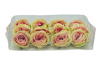 Camellia Flower - Lime Green With Hints Of Pink