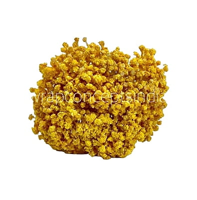 Baby Breath's Bunch