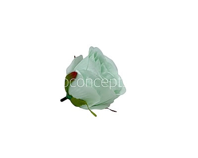 Mint Green Roses Mint Green Roses