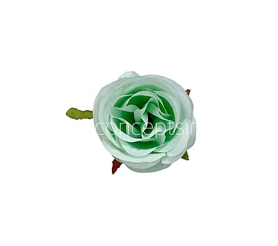 Mint Green Roses Mint Green Roses
