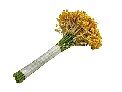 Baby Breath's Bunch
