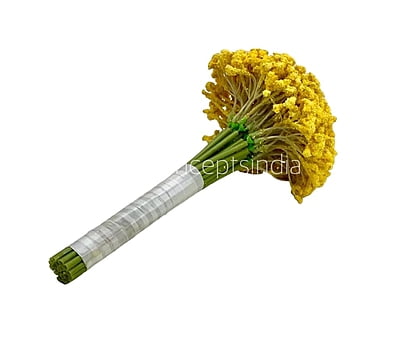 Baby Breath's Bunch