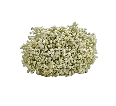 Baby Breath's Bunch
