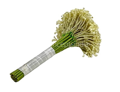 Baby Breath's Bunch