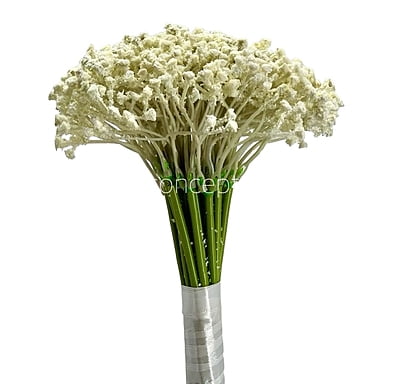 Baby Breath's Bunch