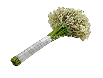Baby Breath's Bunch