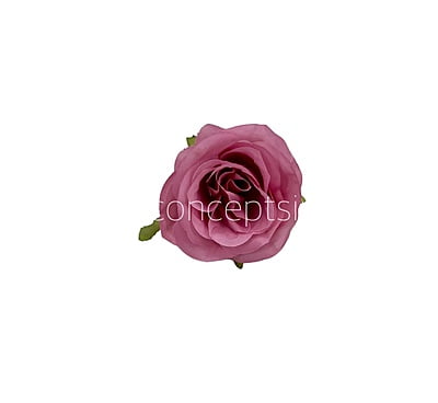 Persian Pink Roses Persian Pink Roses