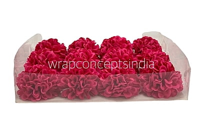 Fuchsia Carnation